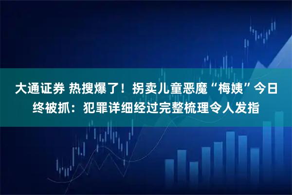 大通证券 热搜爆了！拐卖儿童恶魔“梅姨”今日终被抓：犯罪详细经过完整梳理令人发指