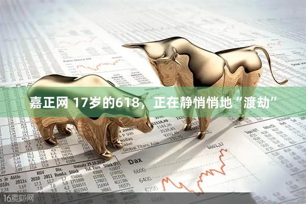 嘉正网 17岁的618，正在静悄悄地“渡劫”