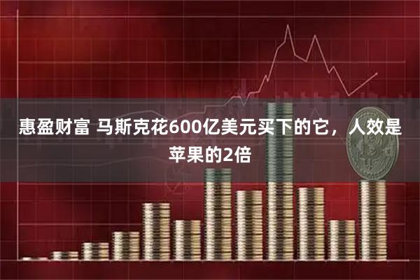 惠盈财富 马斯克花600亿美元买下的它，人效是苹果的2倍