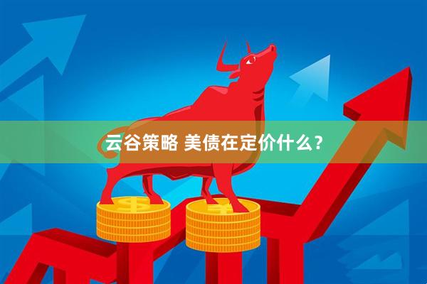云谷策略 美债在定价什么？